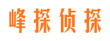 桐柏侦探公司